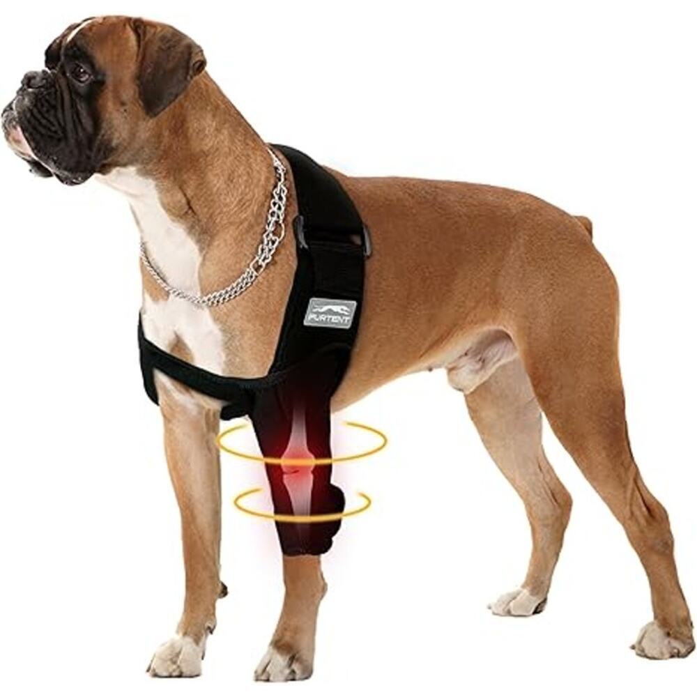 NEW Furtent Medium Dog Elbow Protector Pet Recovery Suit Prevents Licking Biting - Picture 4 of 8